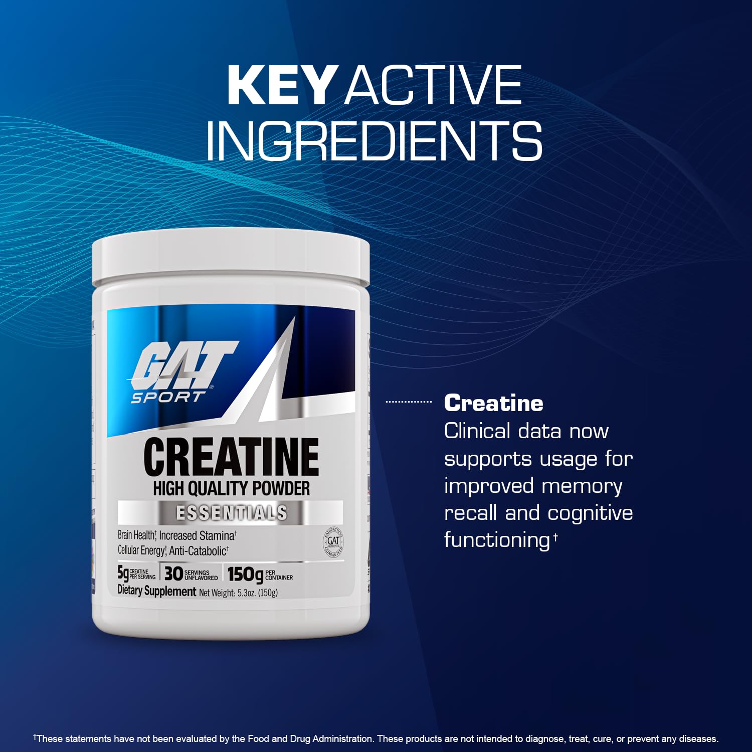 GAT SPORT GAT SPORT Creatine Monohydrate Powder – Boost Strength & Endurance