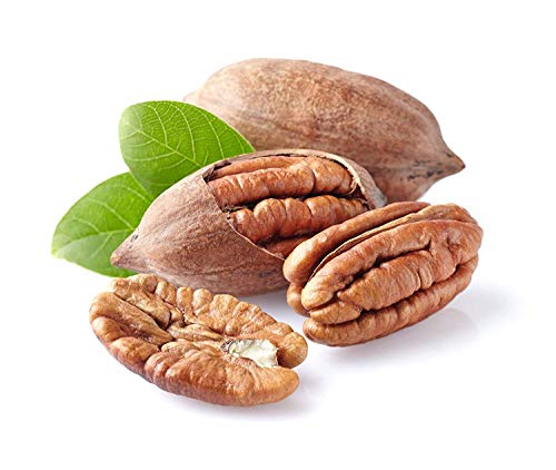 Anna and Sarah Anna and Sarah Premium Georgian Raw Fresh Pecans in Shell, 2 Lbs