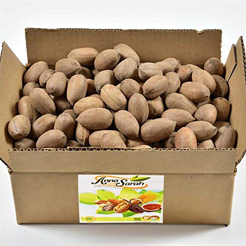 Hard Shell Georgian Pecans - 9 Lbs Box